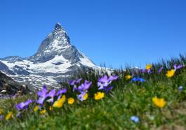 
Träumen von der Alpenwelt im Wallis.

