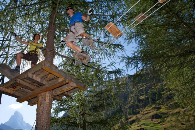 Forest Fun Park high ropes course