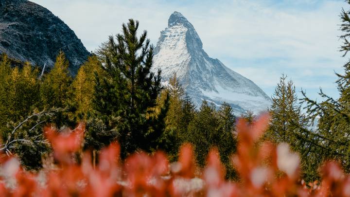 Das Wahrzeichen der Schweiz