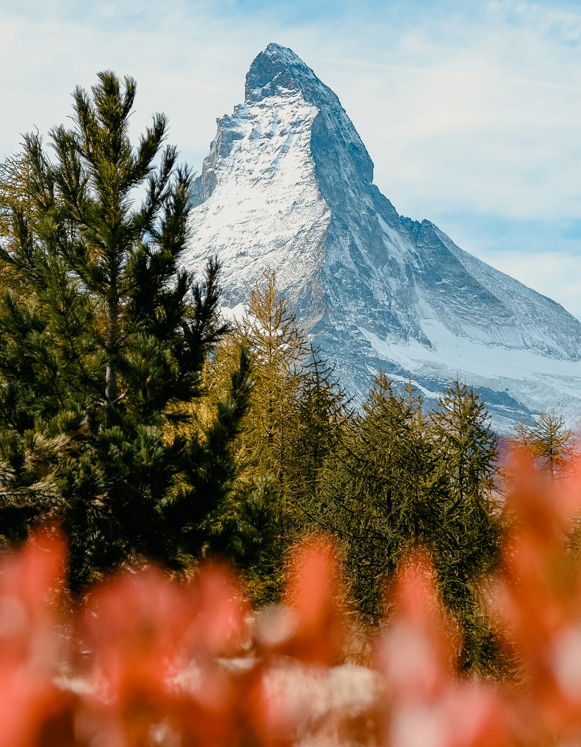 Location & Arrival - Resort La Ginabelle Zermatt Snow-covered Matterhorn mountain with pine trees in the foreground