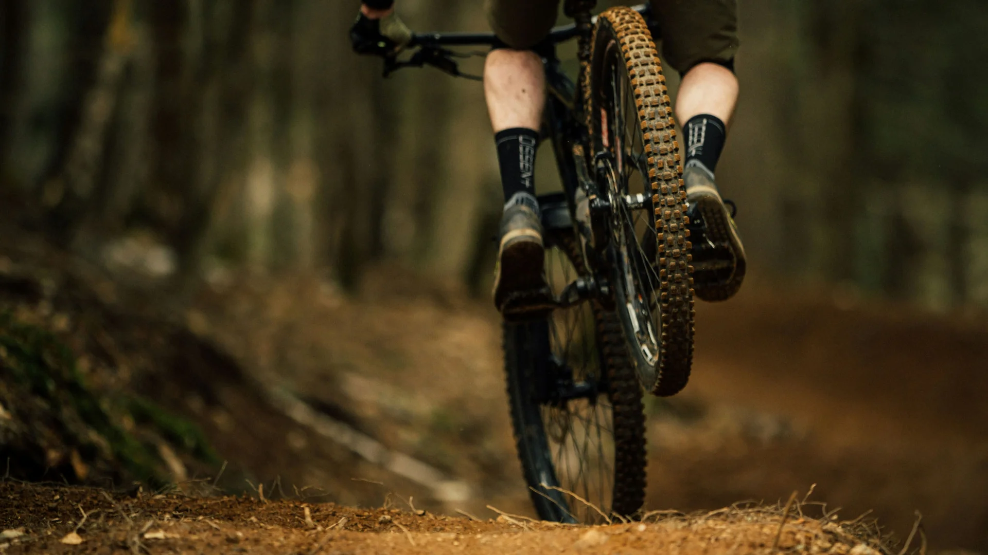 Mountain Biking in Zermatt - Resort La Ginabelle Zermatt Mountain biker jumping on dirt trail in forest