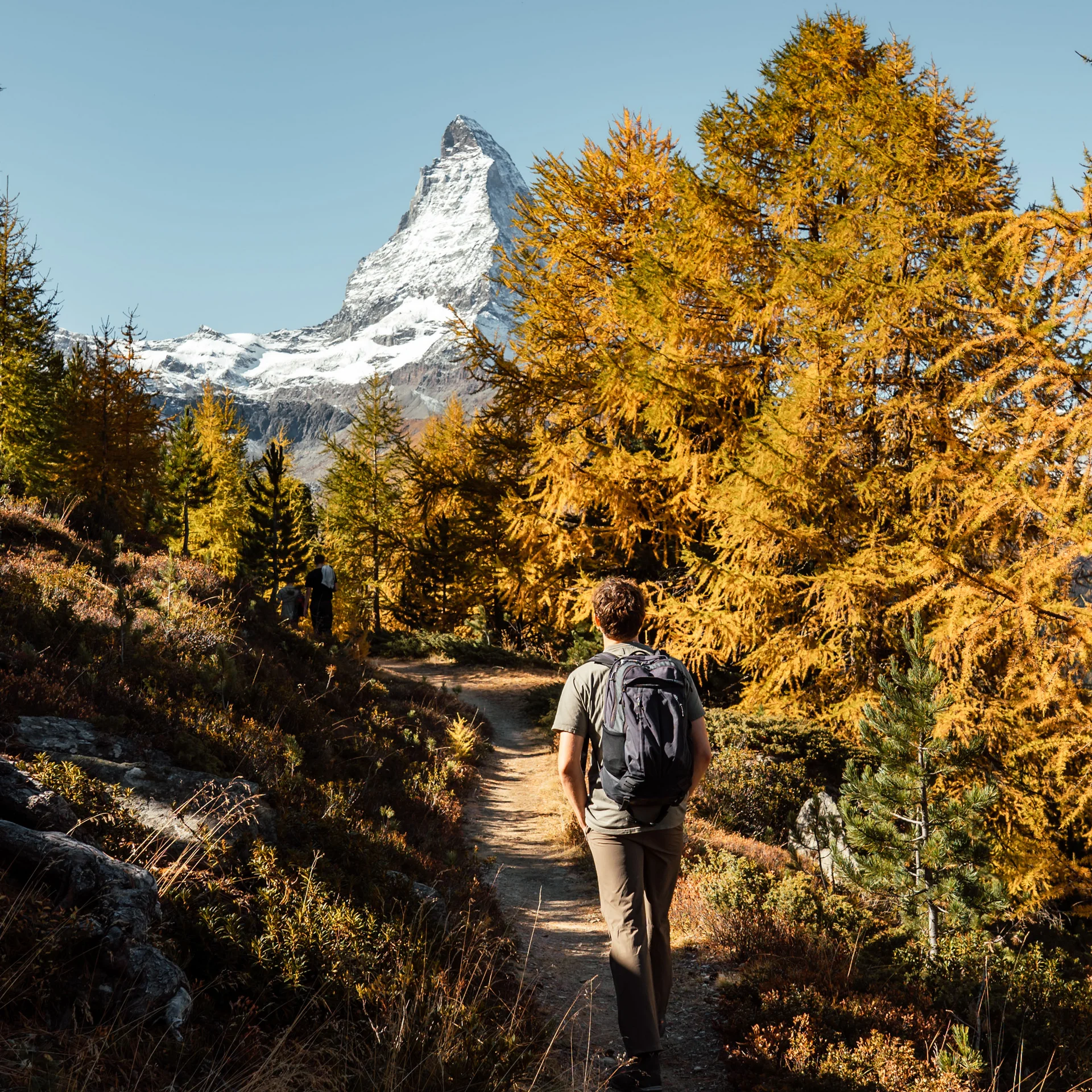 Wanderer auf Pfad mit herbstlichen Bäumen und schneebedecktem Berg im Hintergrund