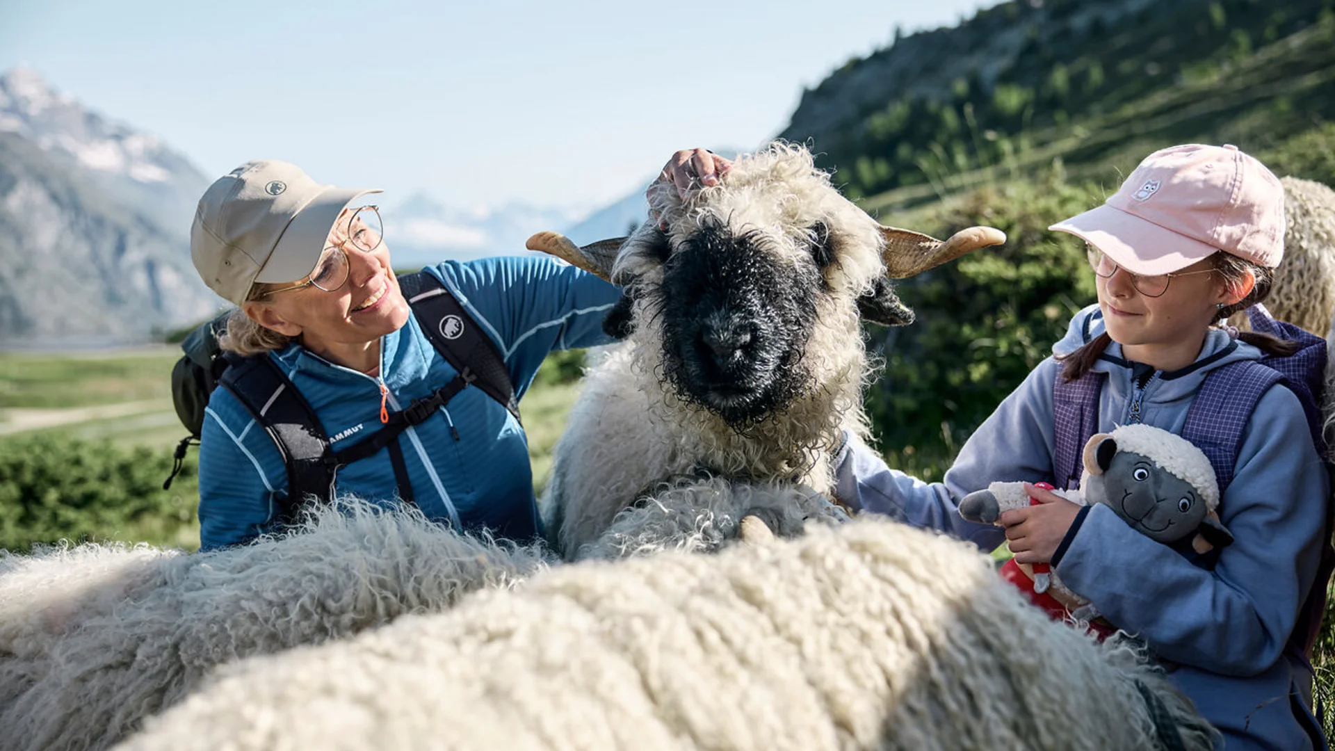 Two people petting a horned woolly sheep in the mountains