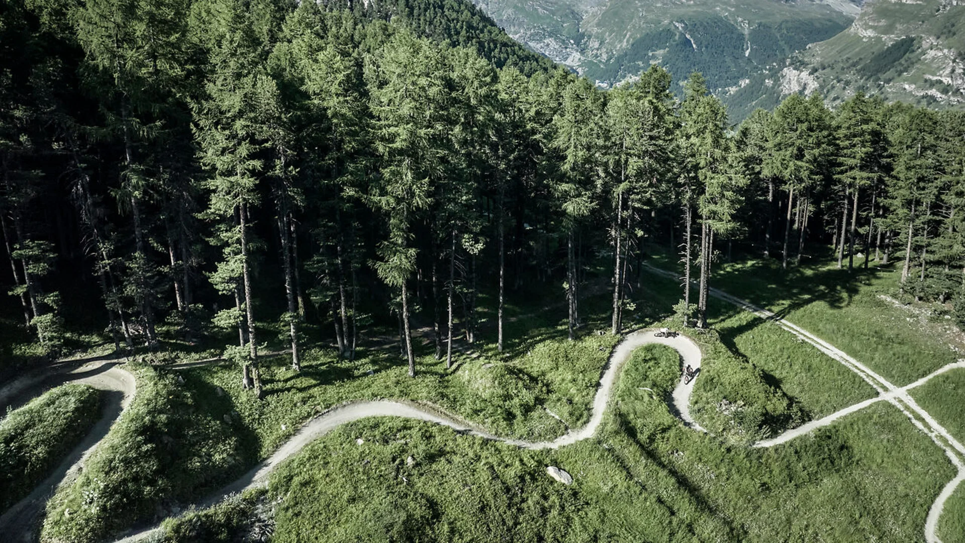 Matterhorn Berg mit gewundener Fahrradstraße und grünen Tannen