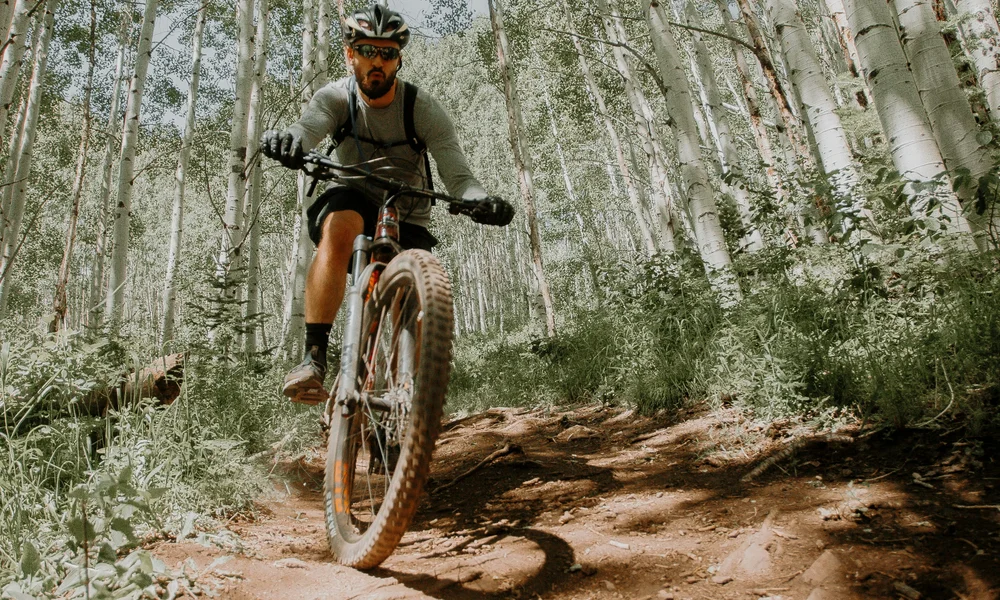 Mann fährt Mountainbike auf Waldweg zwischen Birkenbäumen