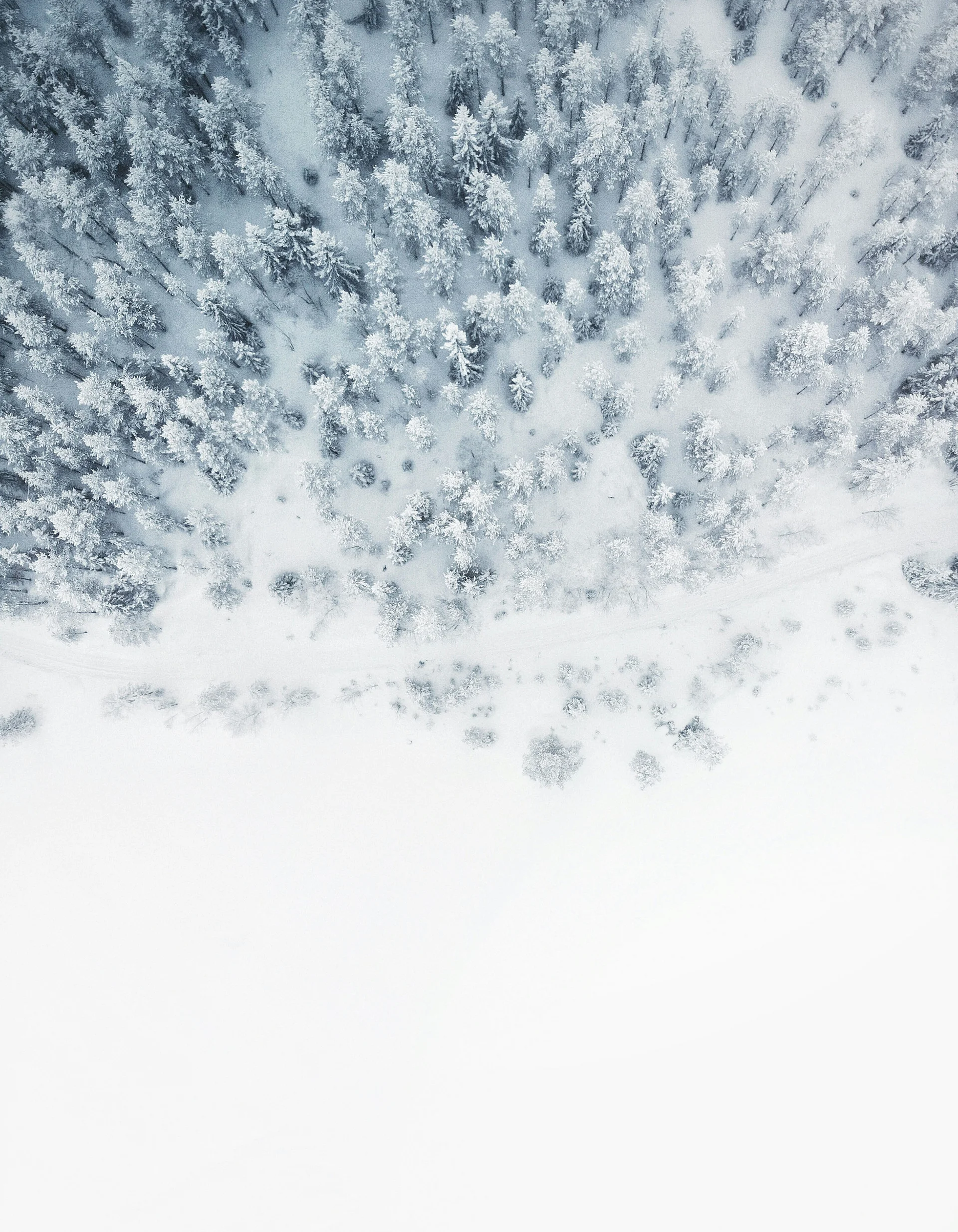 Wintersport Luftaufnahme eines verschneiten Waldes mit kahlen Flächen