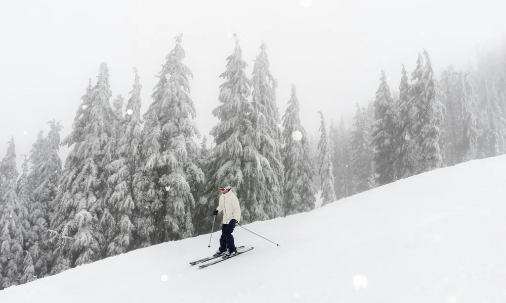 Wintersport Person beim Skifahren auf verschneitem Hang mit verschneiten Bäumen im Hintergrund