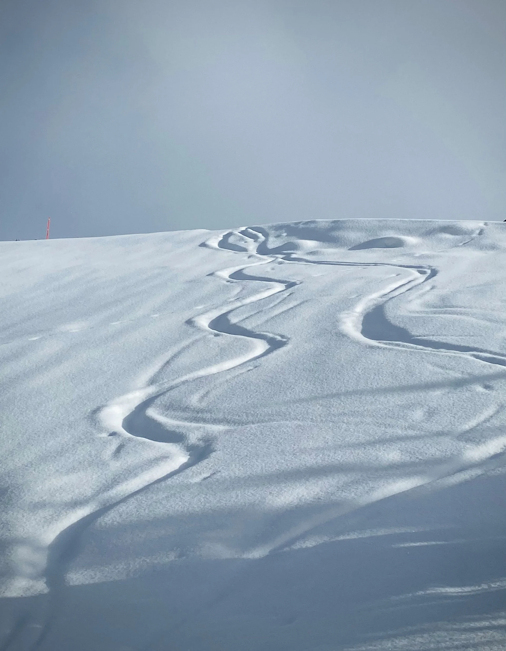 Wintersport Ski- oder Snowboardspuren im frischen Schnee auf einem Hügel