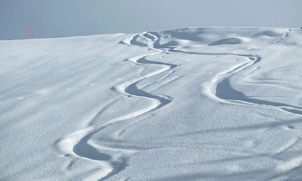 Aktivurlaub in den Bergen - Resort La Ginabelle Zermatt Ski- oder Snowboardspuren im frischen Schnee auf einem Hügel