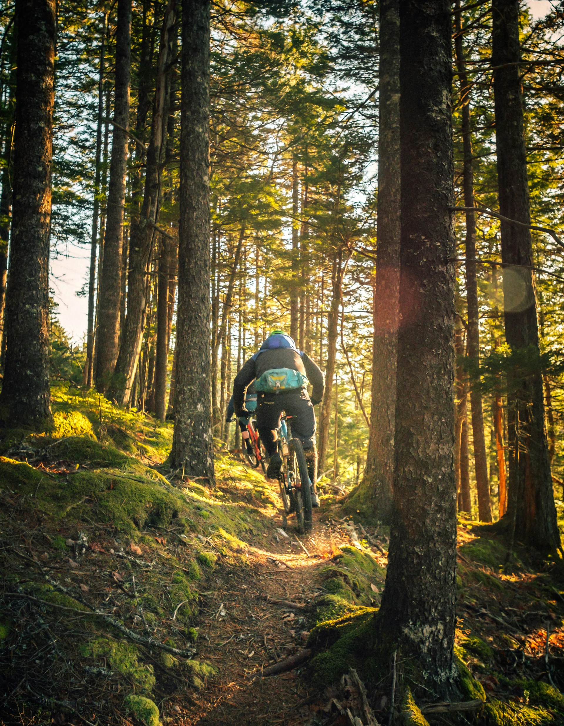 Mountain Biking in Zermatt - Resort La Ginabelle Zermatt Mountain biker riding on a narrow forest trail in sunlight