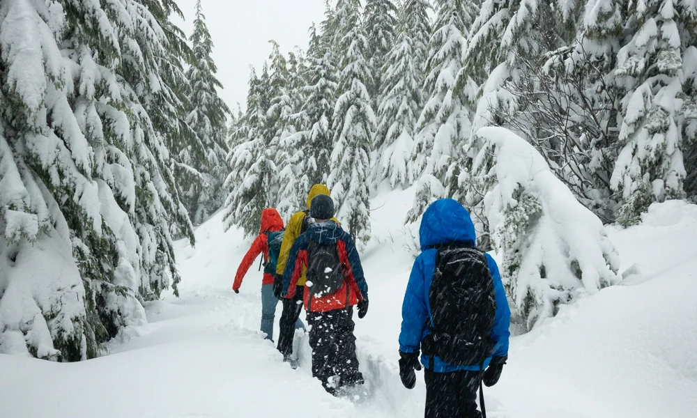 Wintersport Gruppe wandert mit Schneeschuhen durch verschneiten Tannenwald