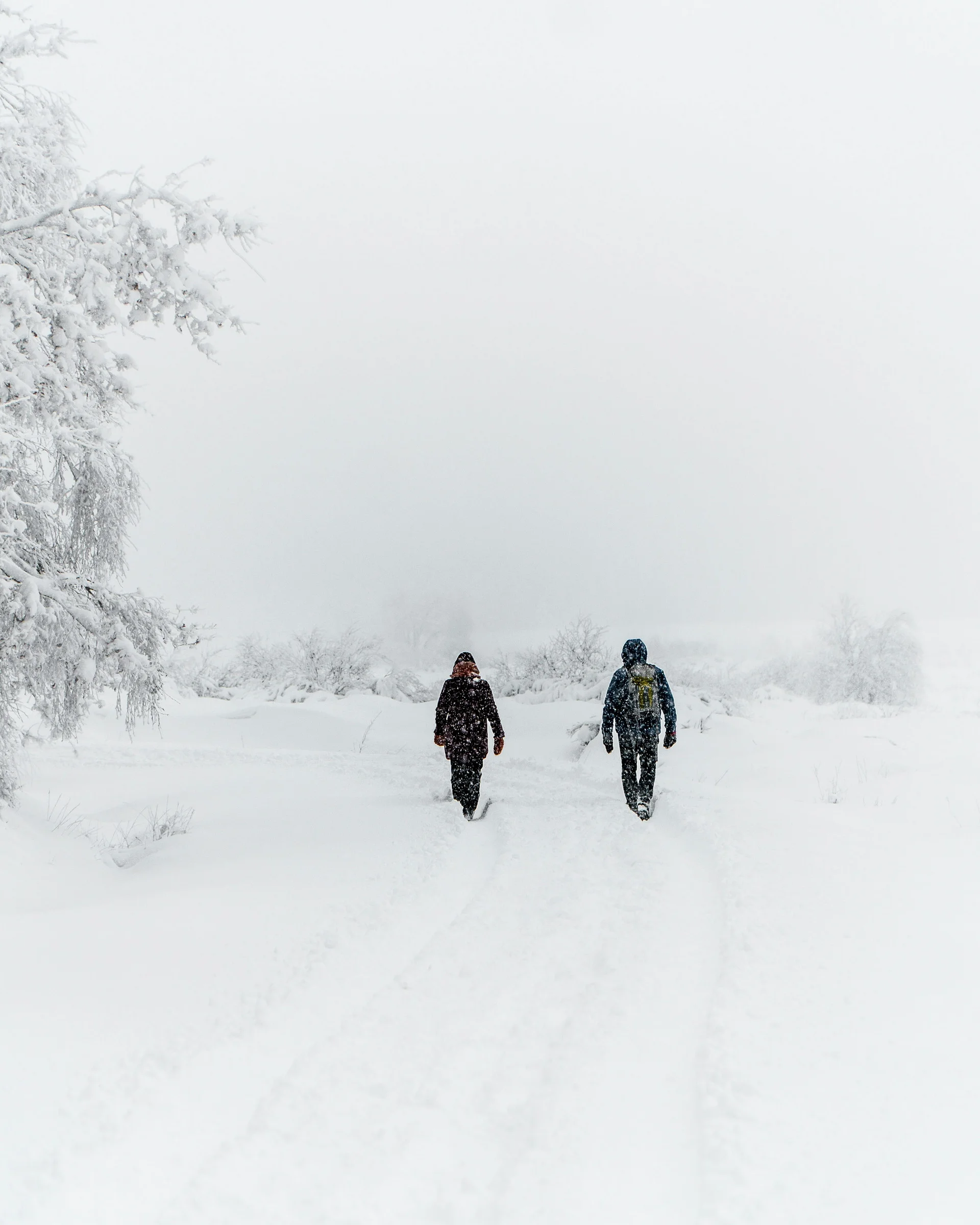 Wandern & Bergsteigen Zermatt - Resort La Ginabelle Zermatt Zwei Personen laufen durch verschneite Landschaft bei Schneefall